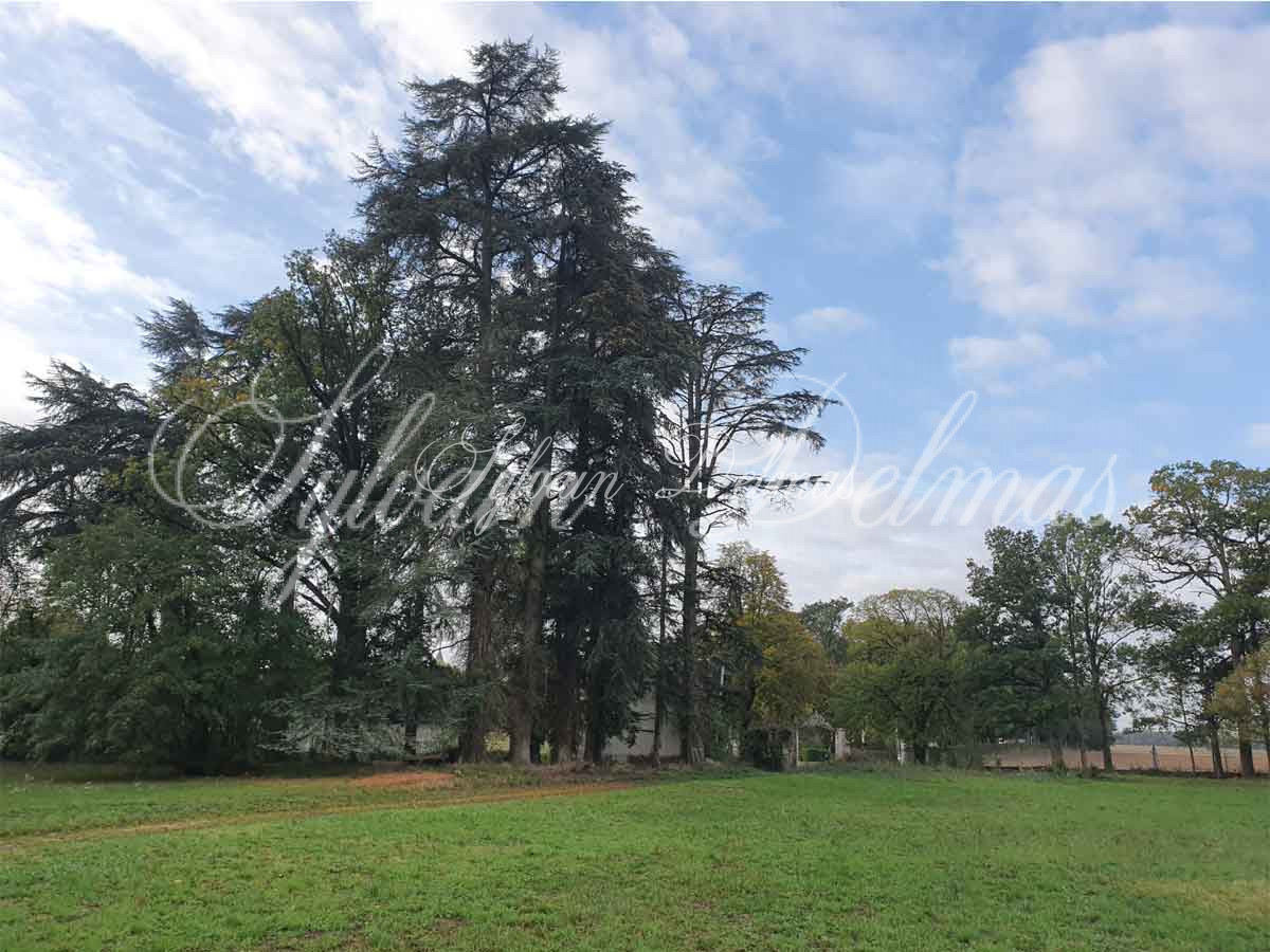Château — Chateau - 19e - 4400m² - A Restaurer