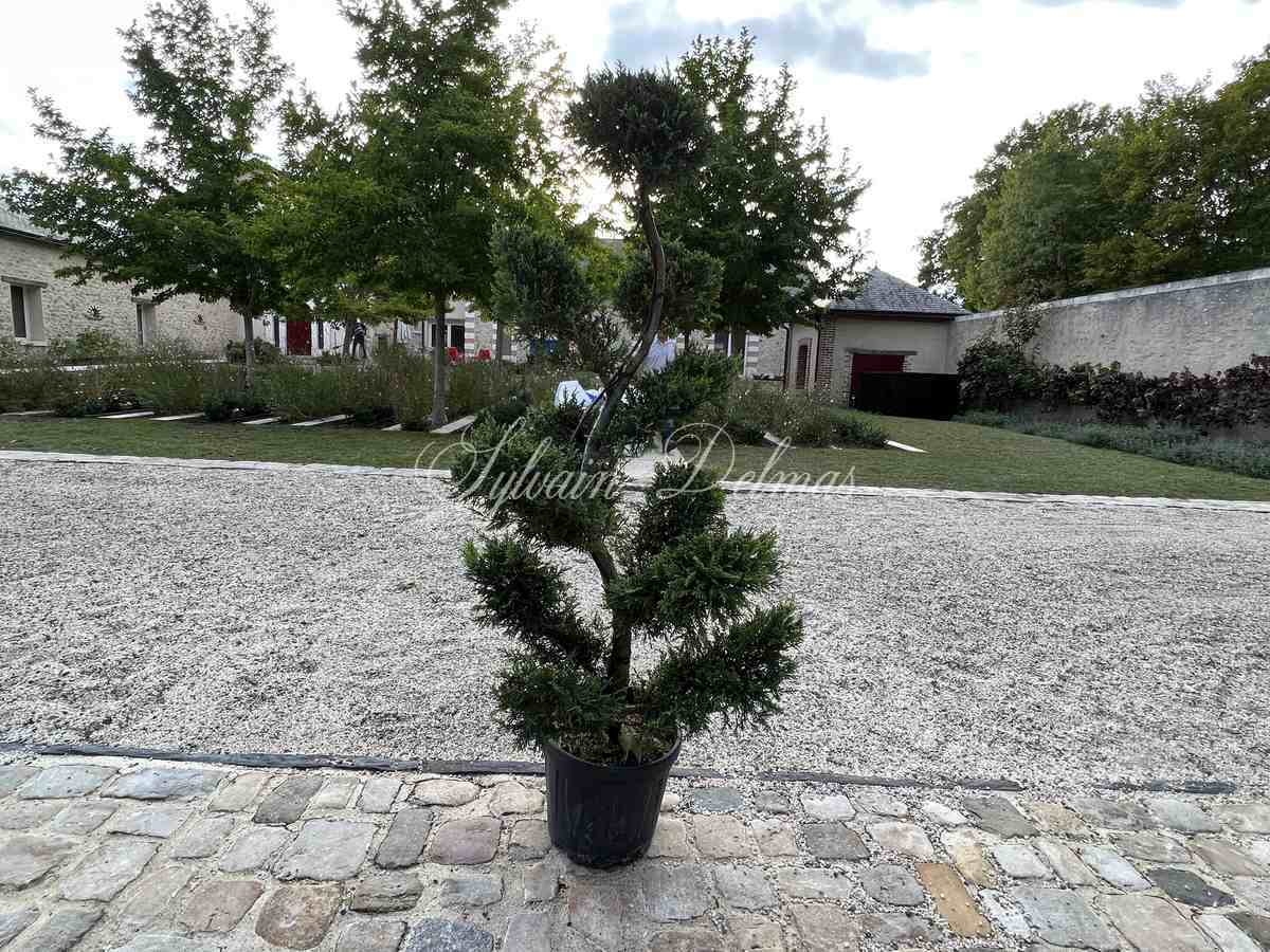 VILLA D ARCHITECTE  576m² avec dépendances du XIX° PROCHE D4UN GOLF