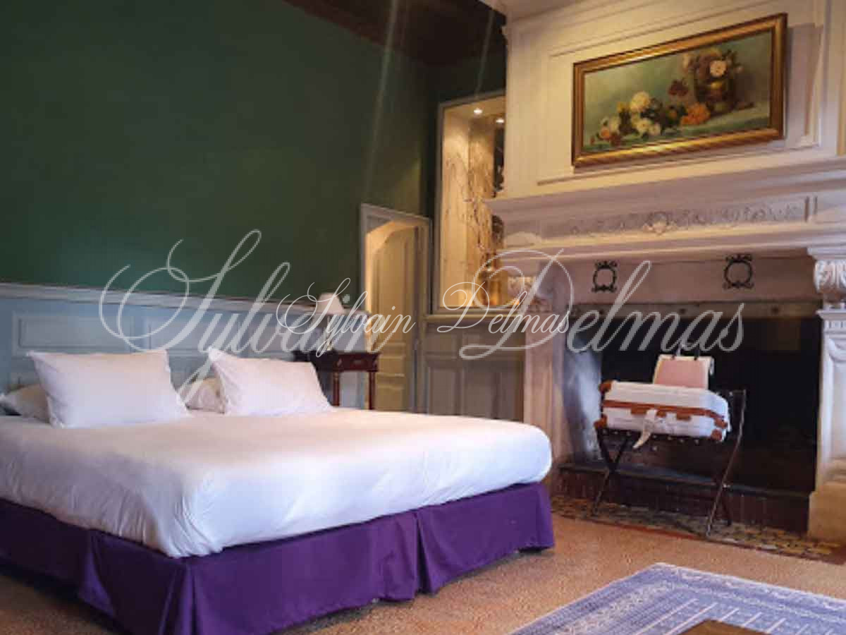 Manoir — Chateau - 15 pièces - 790m²
