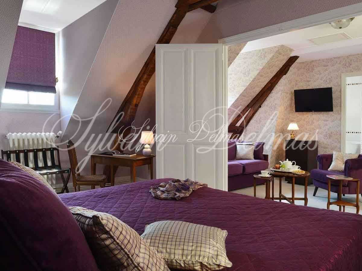 Manoir — Chateau - 15 pièces - 790m²