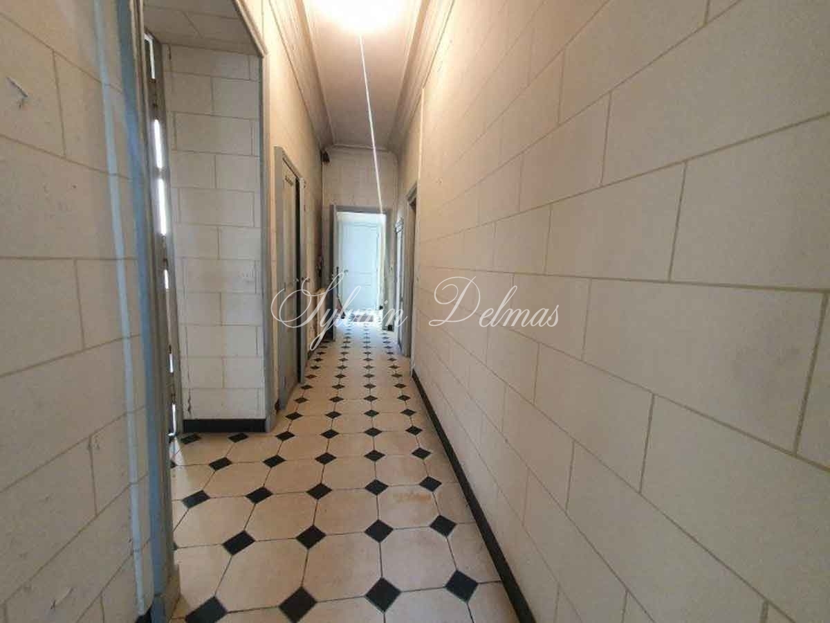 Maison de maître à restaurer - 15 pièces - Centre d'Amboise