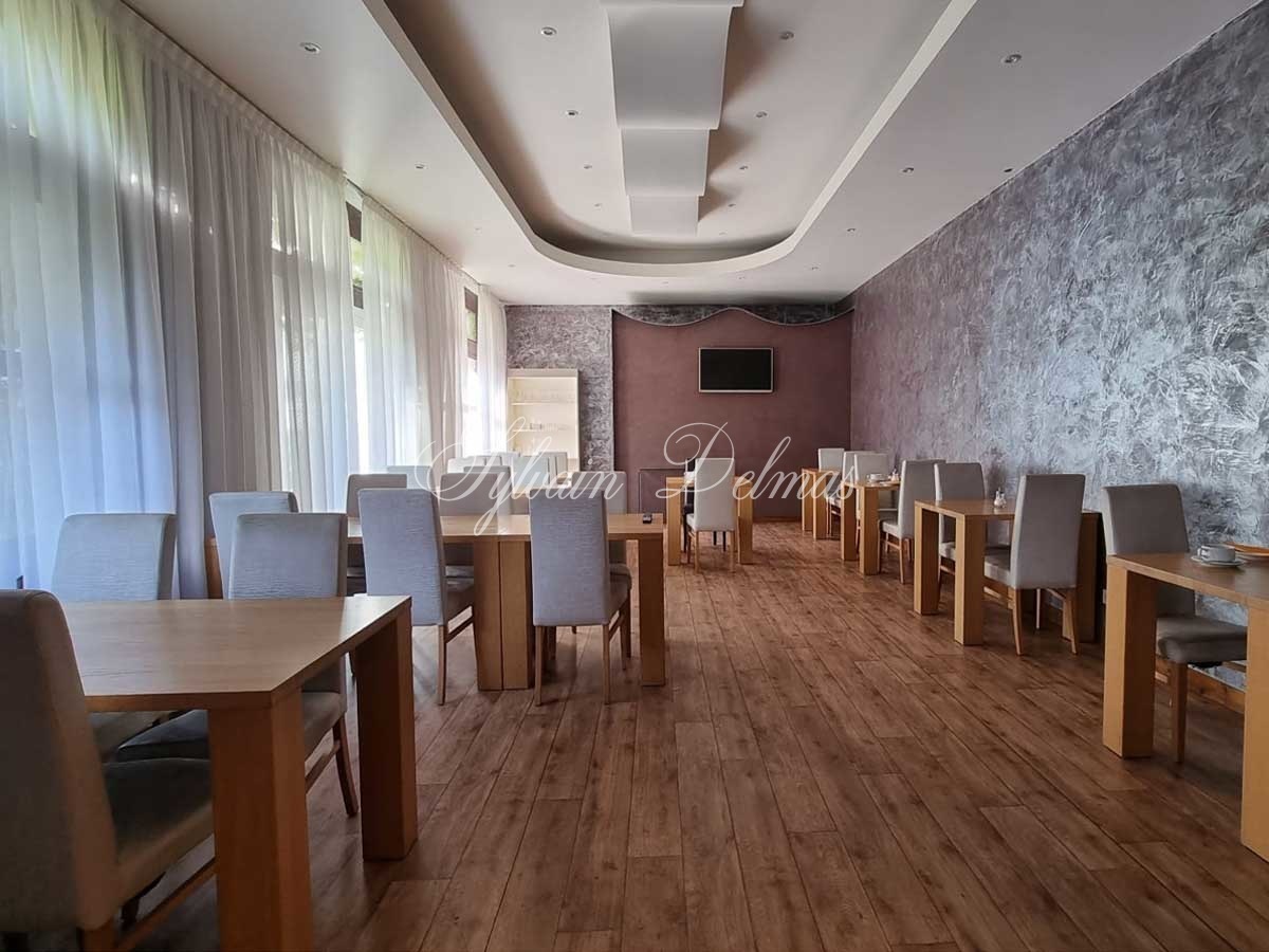 Hôtel particulier — Hôtel restaurant entre Tours et Amboise - 29 chambres