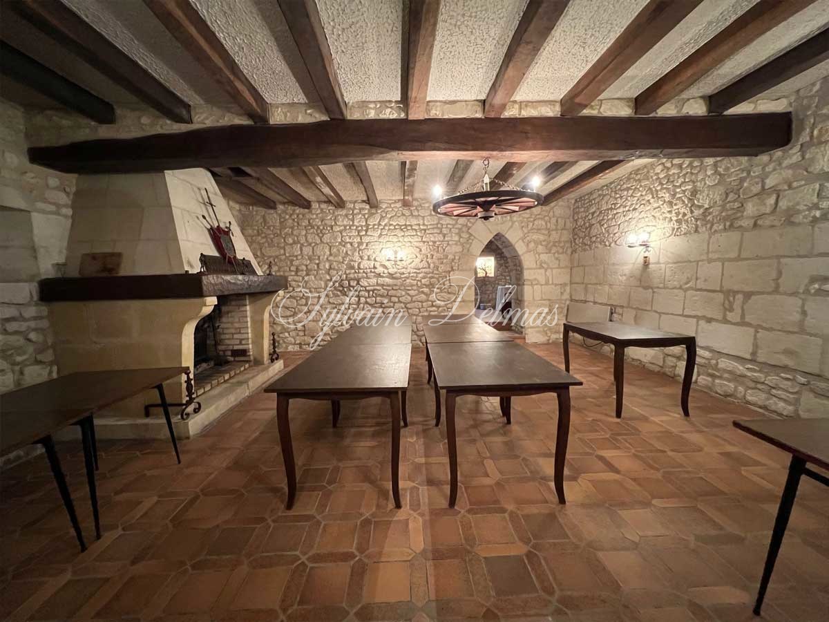Château — Chateau avec complexe hôtelier et camping - 30min de Tours