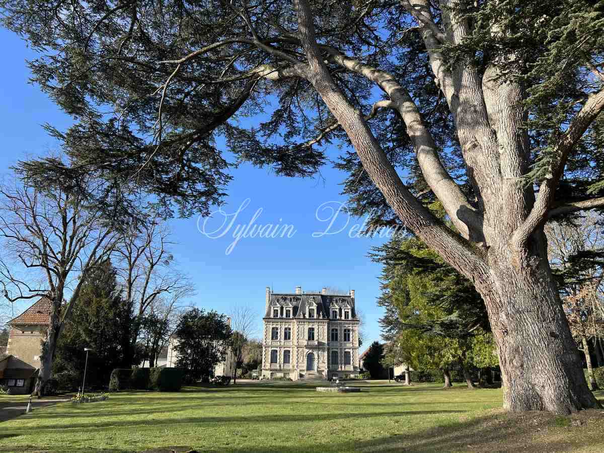 Château — Chateau avec complexe hôtelier et camping - 30min de Tours