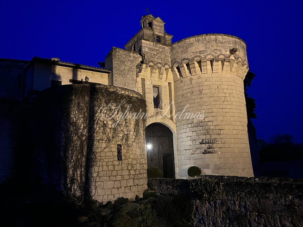 Château médiéval entièrement restauré