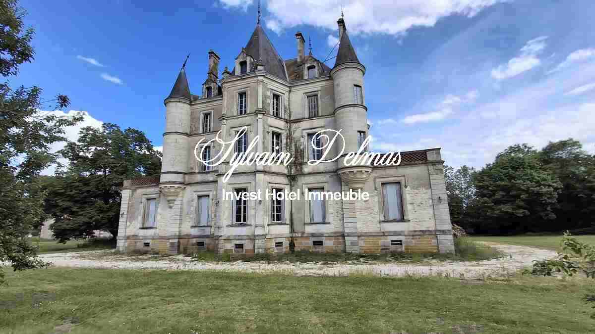 Manoir — Opportunité plein cœur de Cormery
