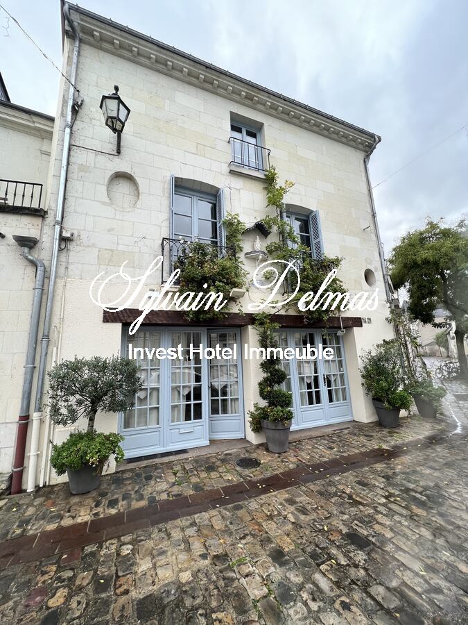 château plein centre de Langeais