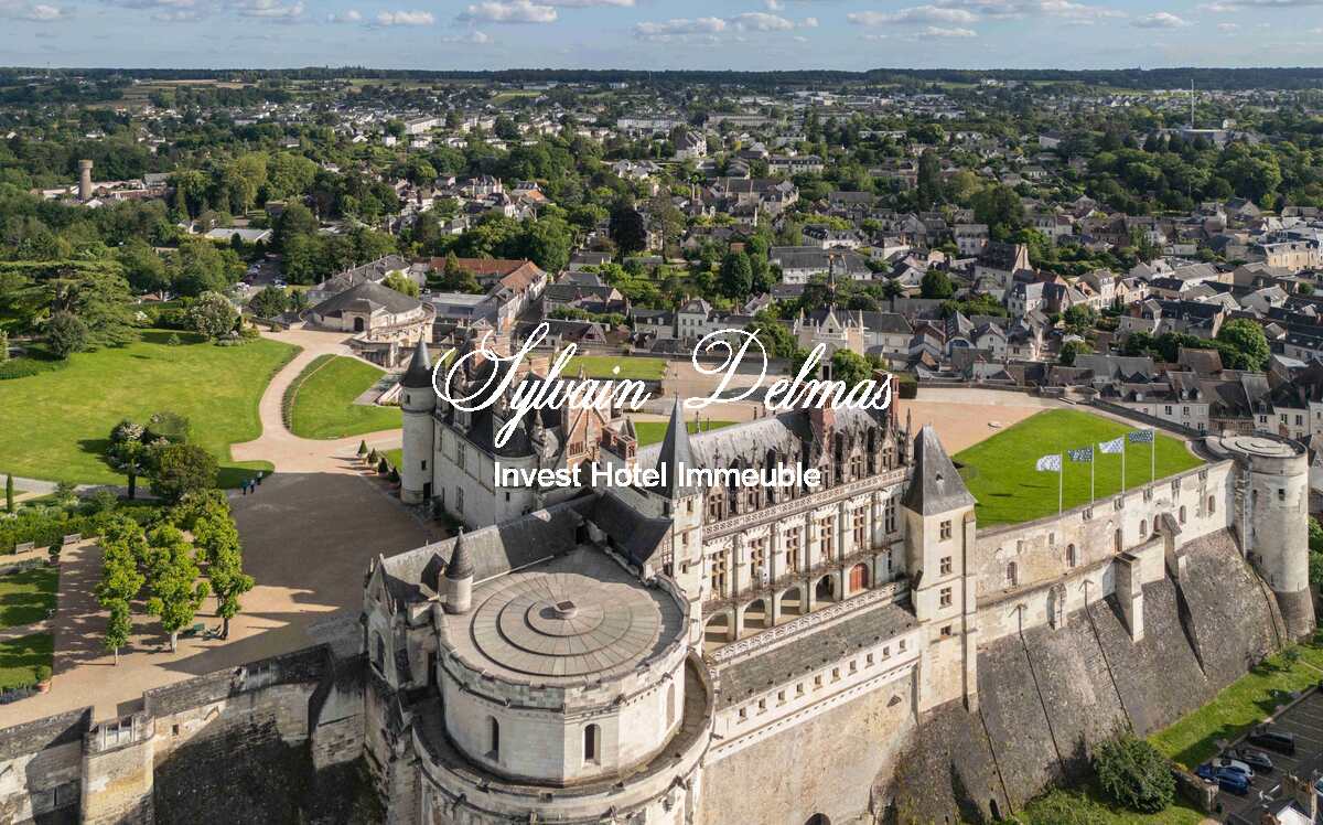 Sublime château  entre Tours et Le Mans