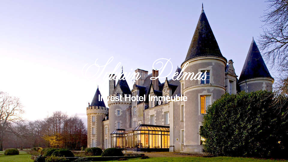 Château proche Vendomes