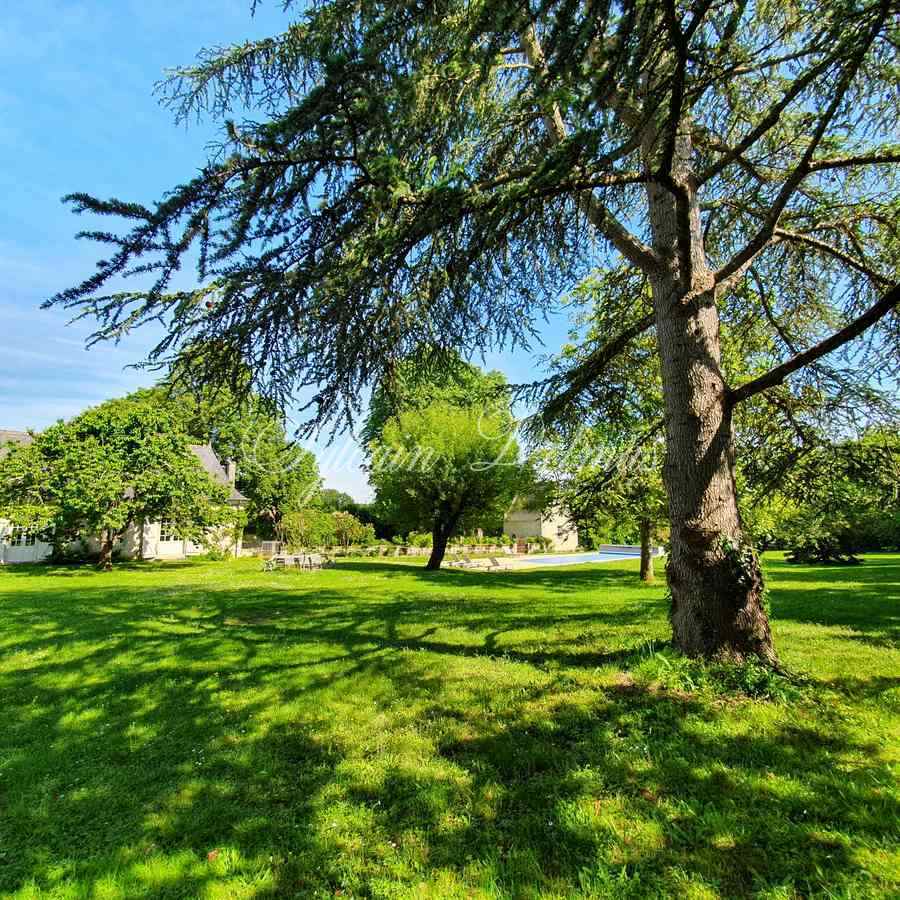 Château XVII et XIX° restauré en activité séminaires mariages