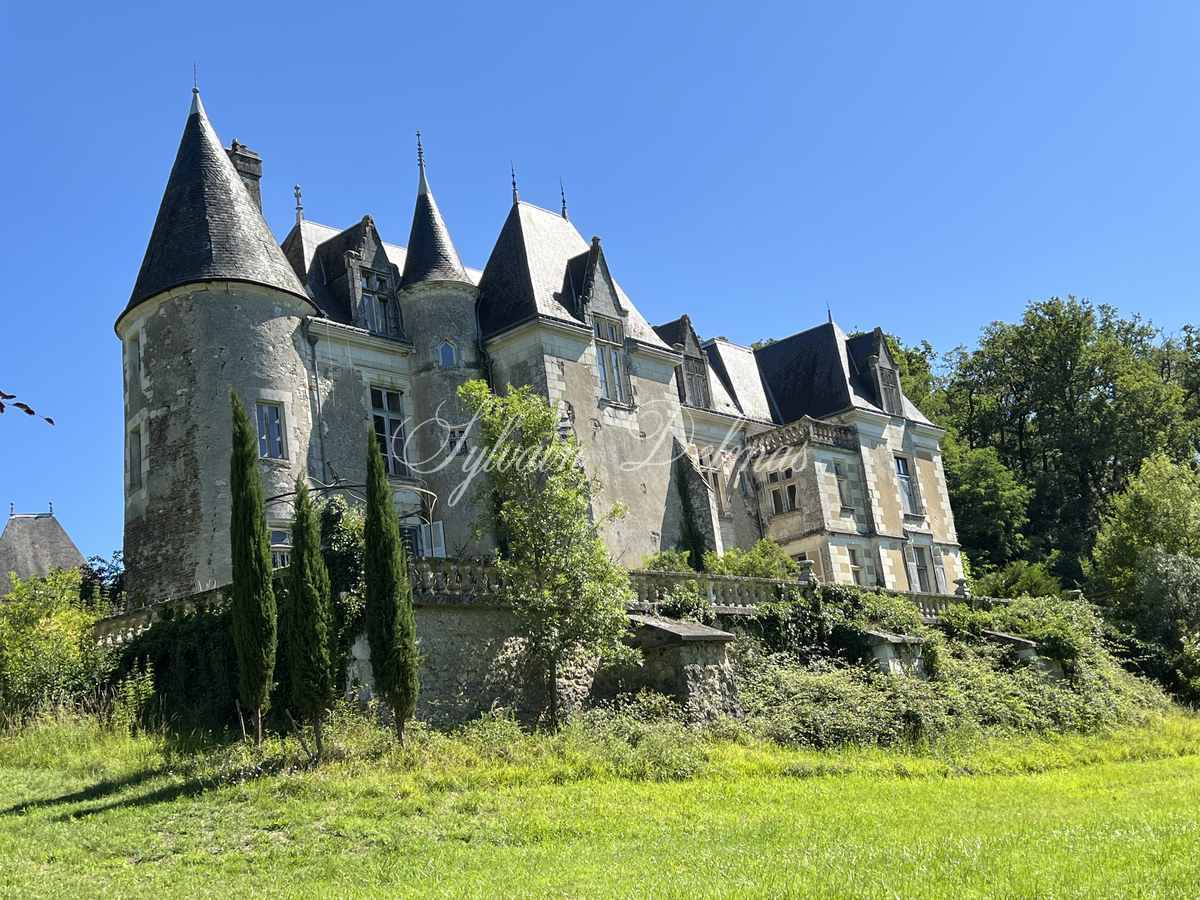 Château — SUBLIME CHÄTEAU  A RESTAURER