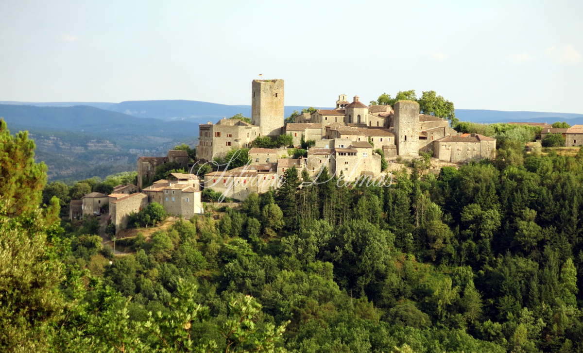 Château — CHATEAU MEDIEVAL EN ARDECHE