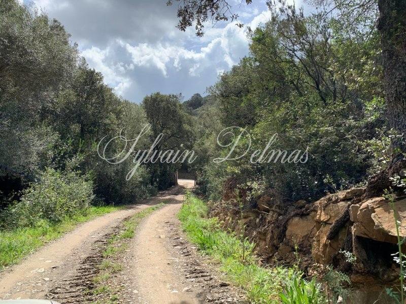 FERME ECOLOGIQUE ET VILLA SUR DOMAINE DE 99 HECTARES