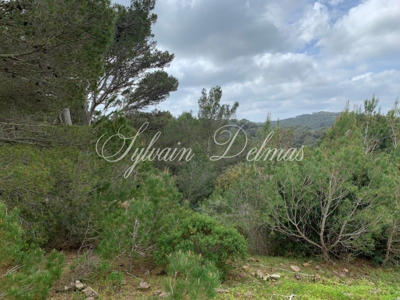 FERME ECOLOGIQUE ET VILLA SUR DOMAINE DE 99 HECTARES