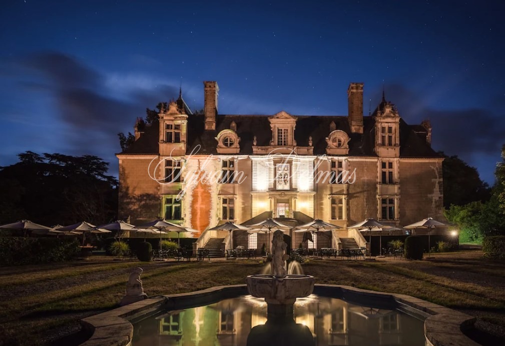 Château historique proche de Tours