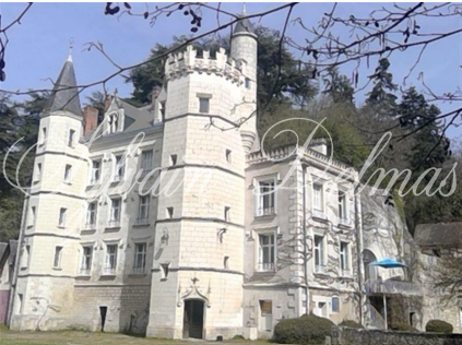 Château XIXème proche d'Amboise