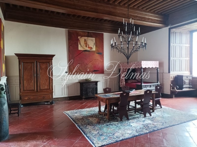 Château — CHATEAU DANS LE LOT ET GARONNE