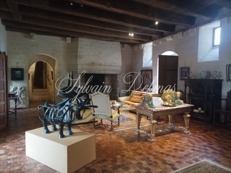 Château — CHATEAU DANS LE LOT ET GARONNE