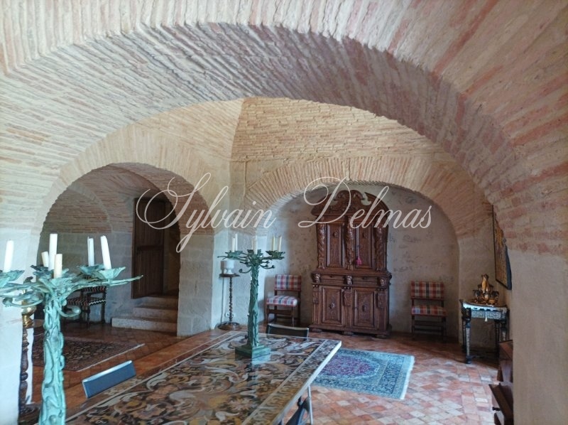 Château — CHATEAU DANS LE LOT ET GARONNE
