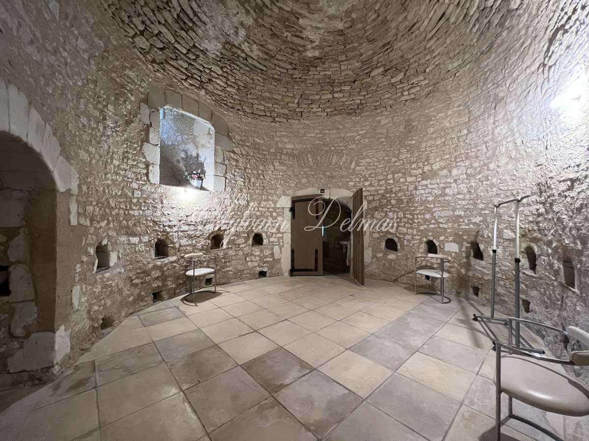 Sublime château du XVIème à 1H15 de PARIS en TGV
