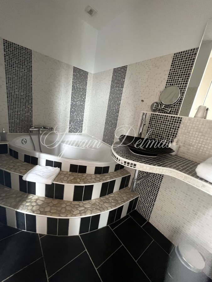 Rare hôtel particulier du XIX ème avec dépendances, 2000 M² sur un parc de 4700 m² en ville !!