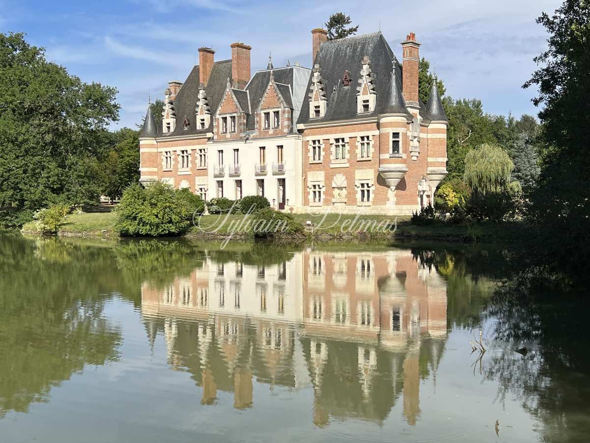 EXCEPTIONNEL Château de XVème proche Romorantin Lanthenay sur 46 hectares