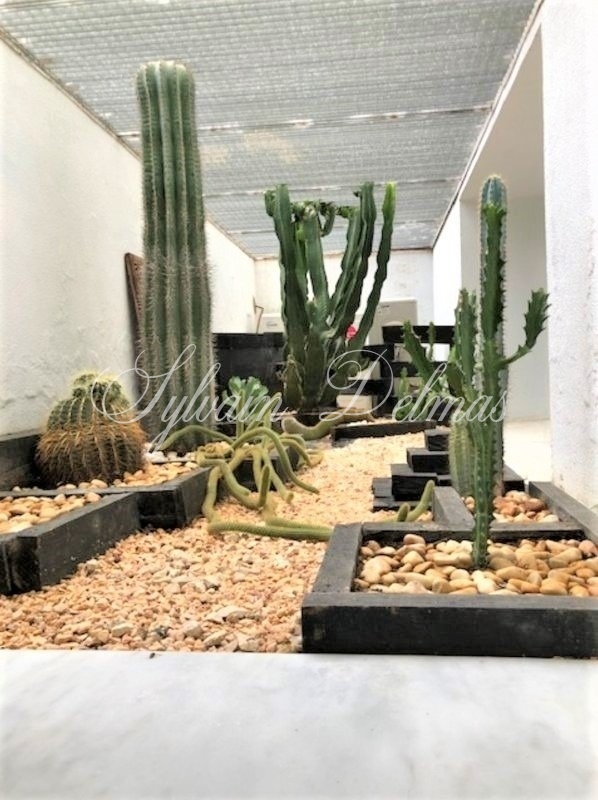 Mas — PROPRIETE à CHICLANA DE LA FRONTERA
