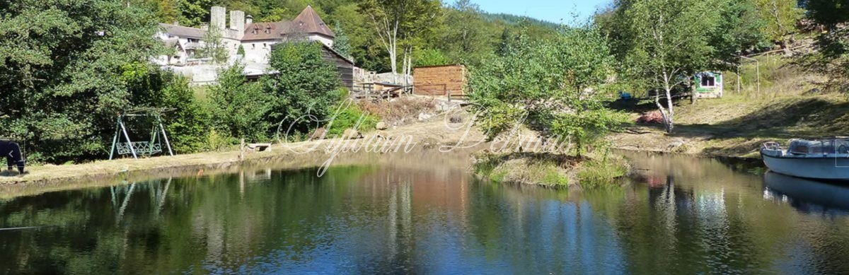 MANOIR EN PLEINE NATURE