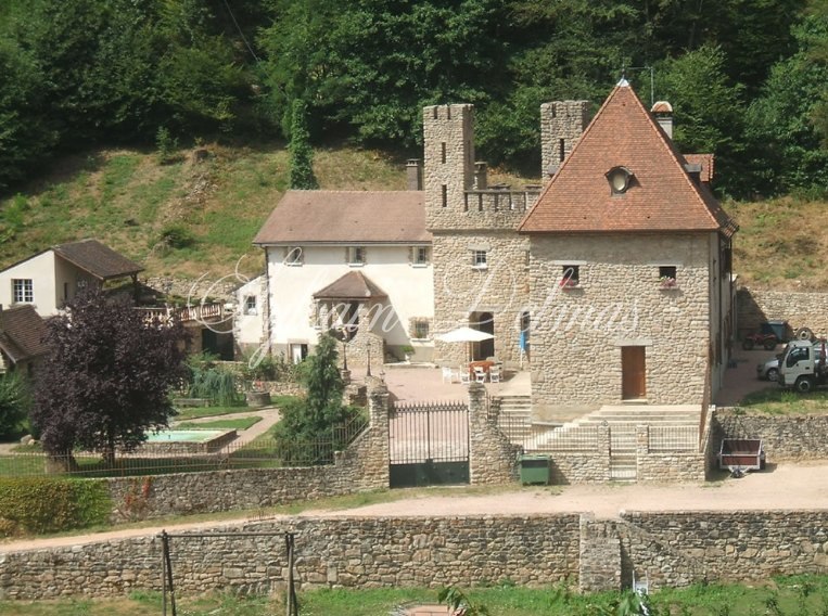 MANOIR EN PLEINE NATURE