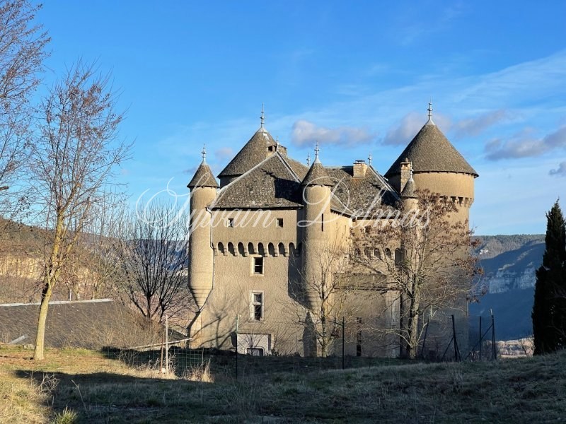 Château médiéval proche du pont de Millau