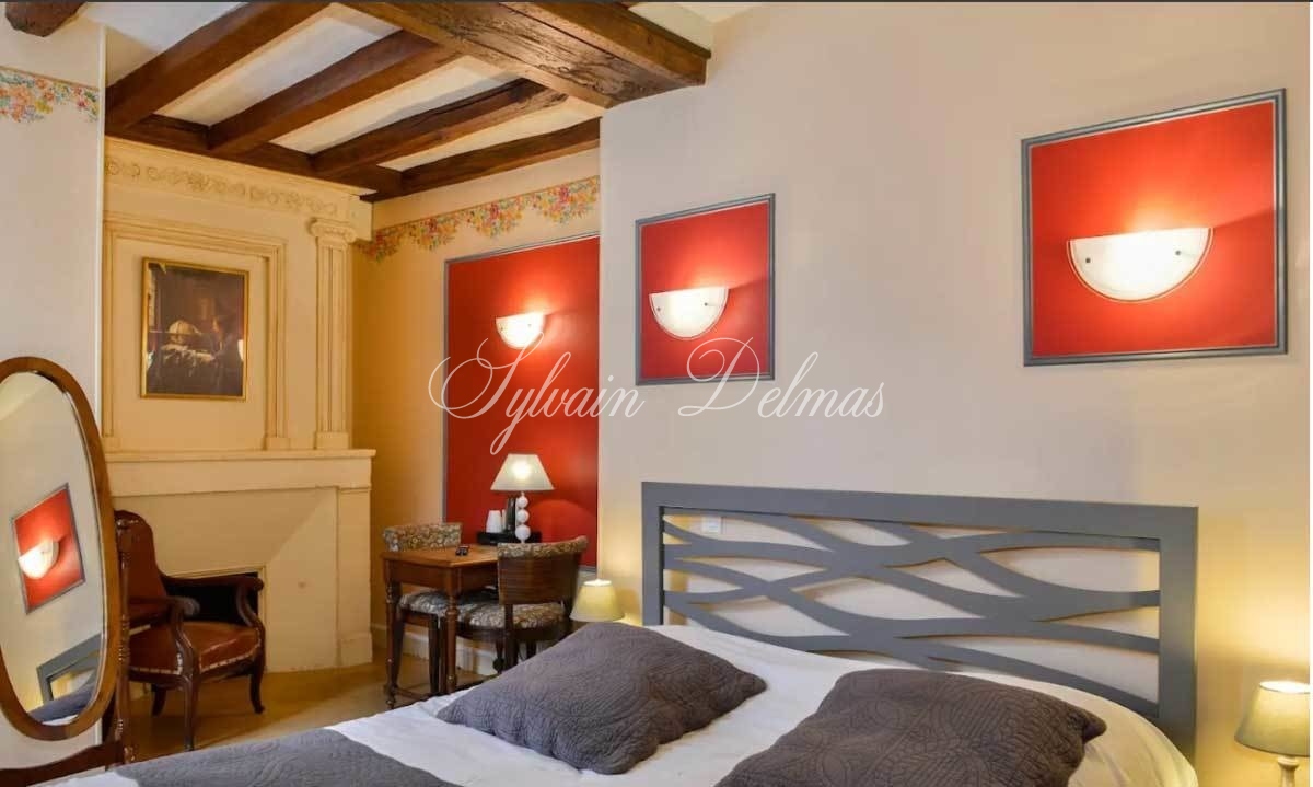 MANOIR XVII°  25 chambres proche de Chinon idéal exploitation gîtes ,chambres d'hôtes ou hôtel