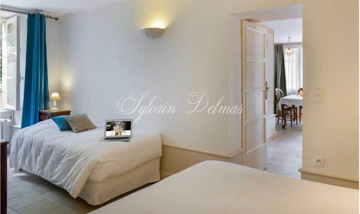 MANOIR XVII°  25 chambres proche de Chinon idéal exploitation gîtes ,chambres d'hôtes ou hôtel