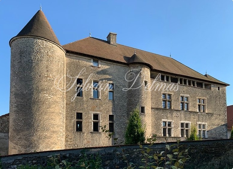 Château — Forteresse (IMH) du XIIIème siècle Totalement rénovée