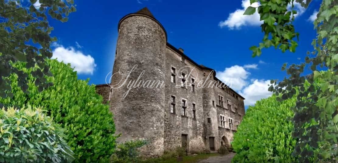Château — Forteresse (IMH) du XIIIème siècle Totalement rénovée