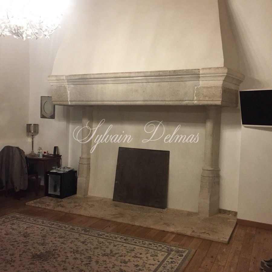Château — Forteresse (IMH) du XIIIème siècle Totalement rénovée