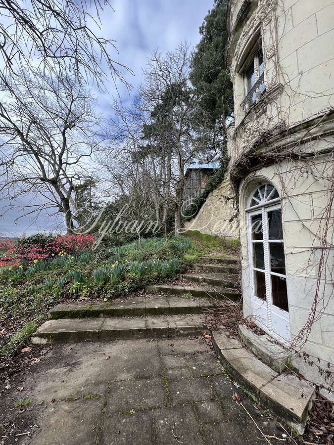Château XIX° à restauré totalement, vue dominante sur la Vienne à deux pas du centre de CHINON