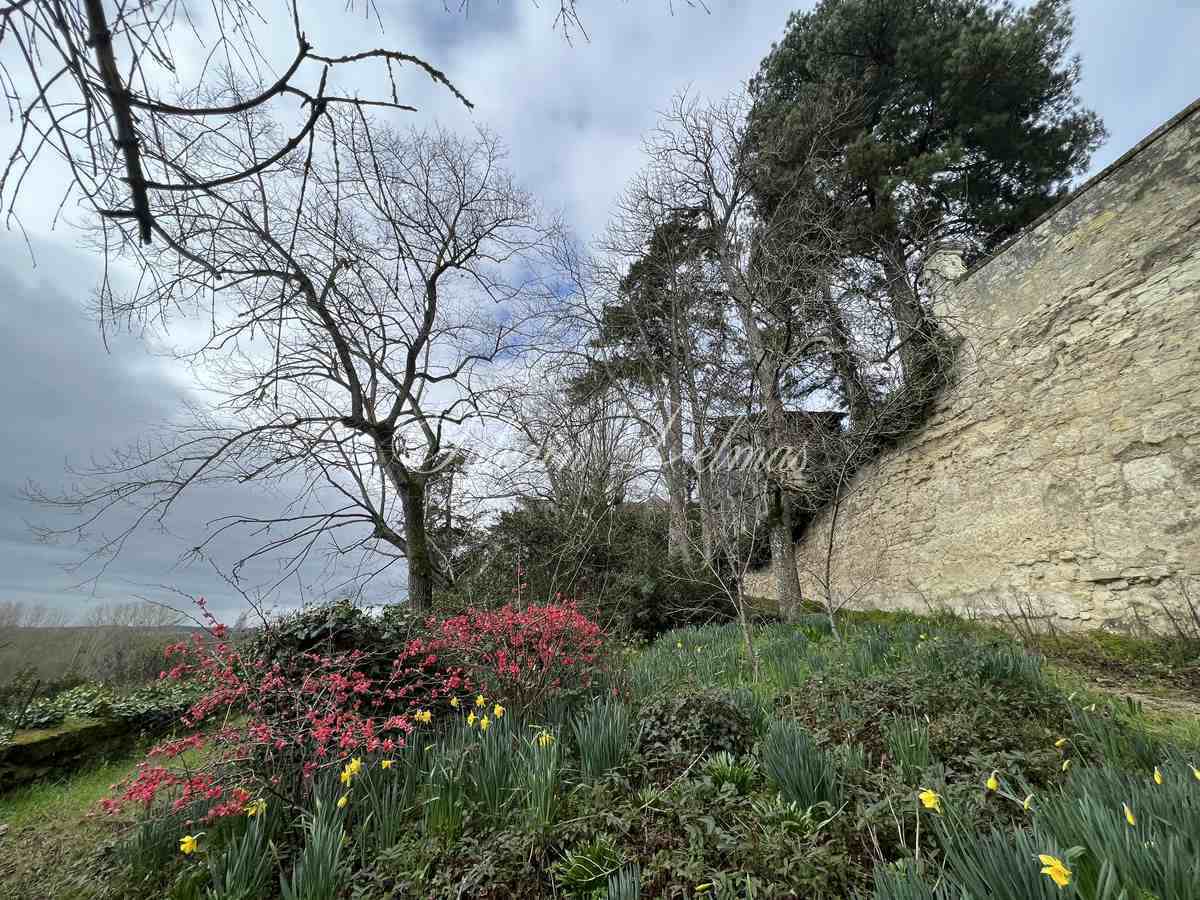 Château XIX° à restauré totalement, vue dominante sur la Vienne à deux pas du centre de CHINON