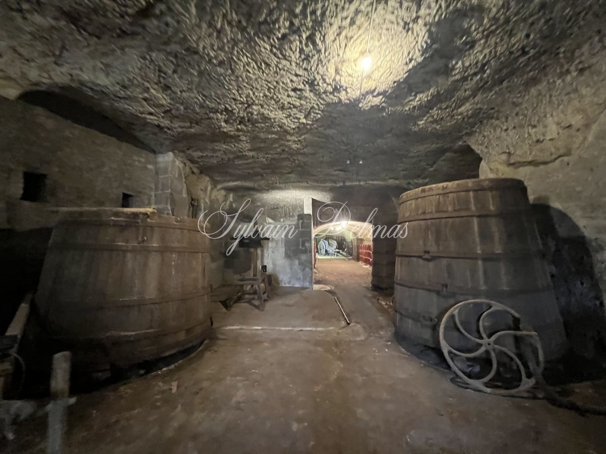 Château — Manoir du XV° à 20 minutes de Tours entièrement restauré