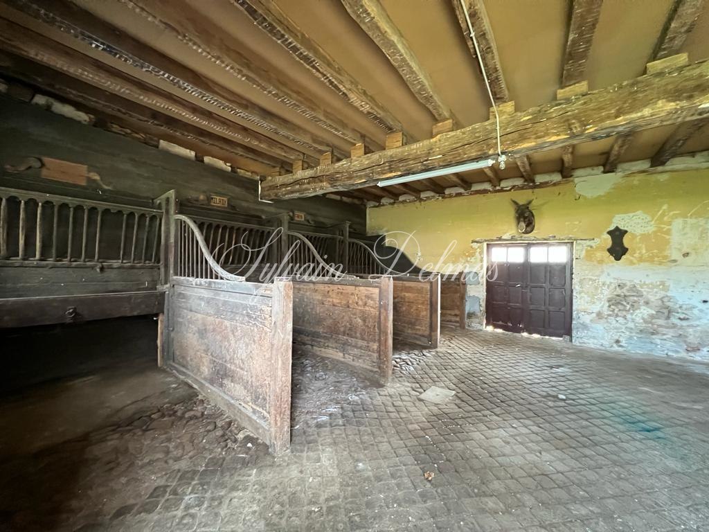 Château XIX° à vendre dans la  Vienne