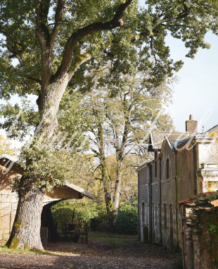 Hôtel particulier — AUTHENTIQUE ORANGERIE DU XVIII ÉME SIÈCLE AUX PORTES DE NANTES