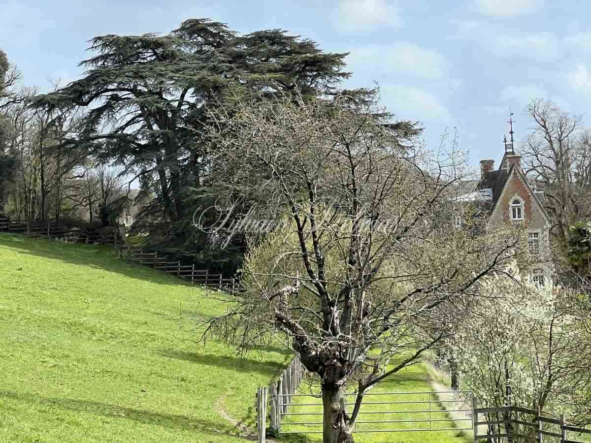 Château 1890 dans la Vienne avec nombreuses dépendances et box à chevaux sur 25 hectares