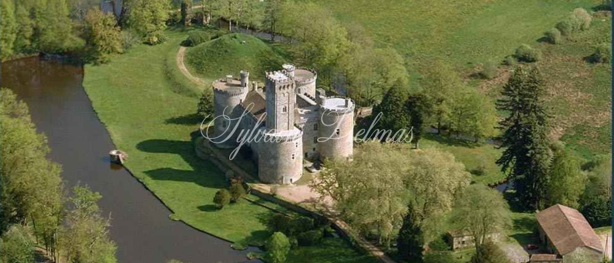 Périgord a vendre exceptionnel Château Médiéval du XIIème siècle sur 170ha