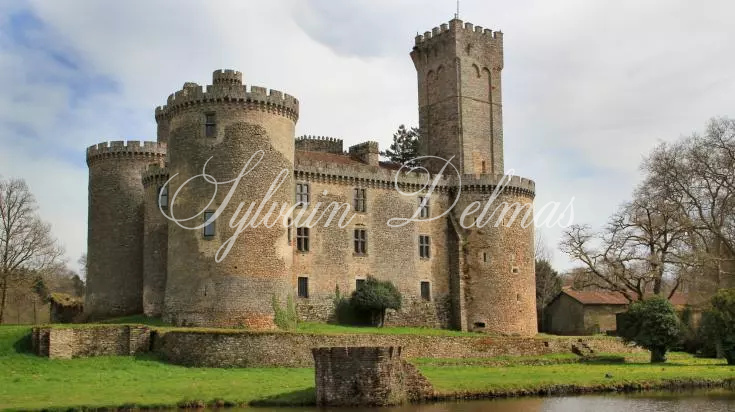 Périgord a vendre exceptionnel Château Médiéval du XIIème siècle sur 170ha