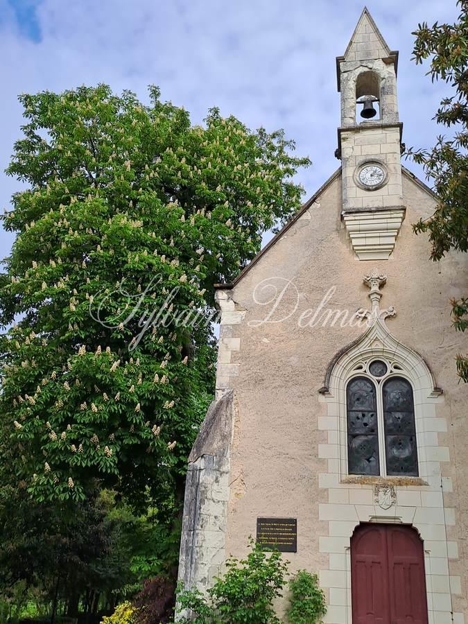 A VENDRE Château totalement restauré prévu pour un hôtel 4/5 *