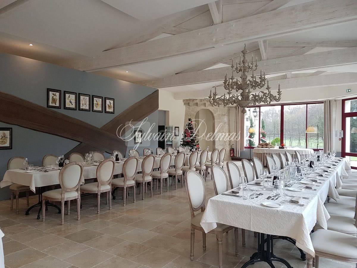 A VENDRE Château totalement restauré prévu pour un hôtel 4/5 *
