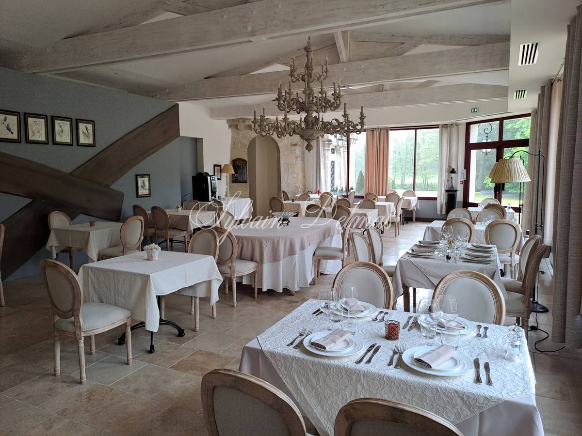 A VENDRE Château totalement restauré prévu pour un hôtel 4/5 *