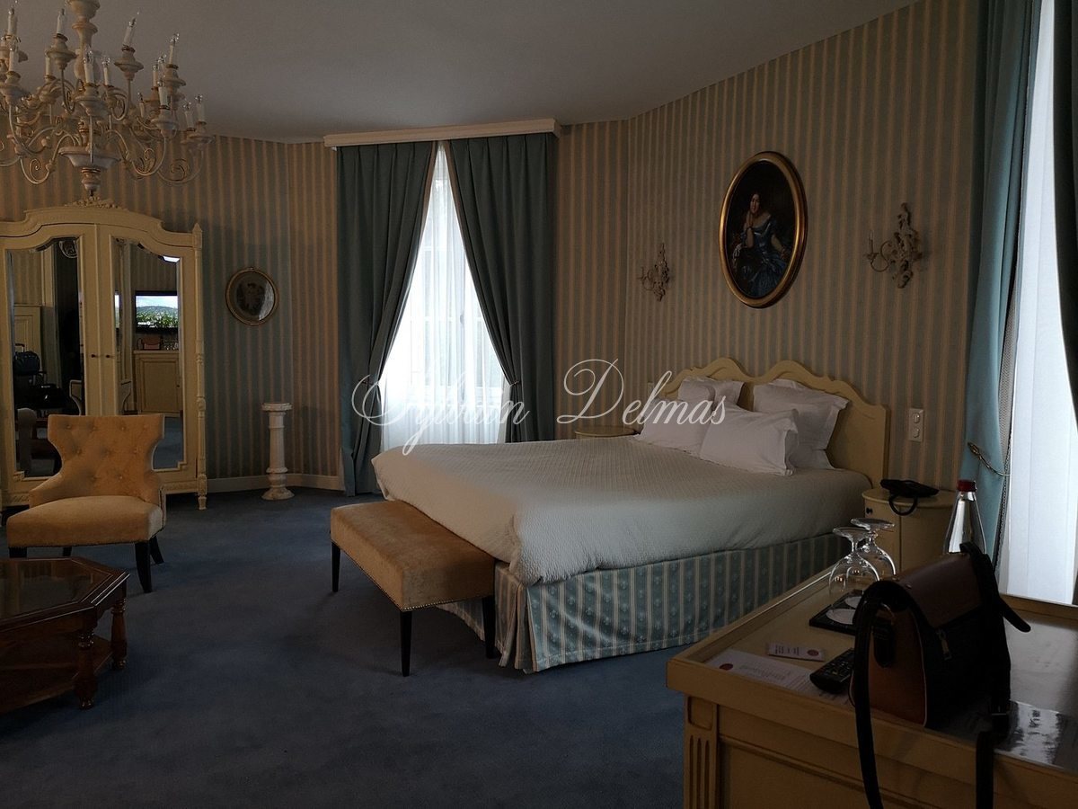 A VENDRE Château totalement restauré prévu pour un hôtel 4/5 *