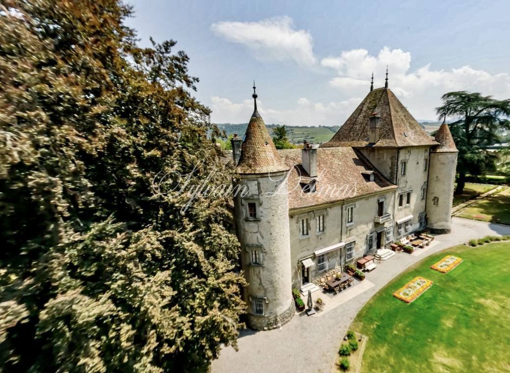 Château — EXCEPTIONNEL ET UNIQUE A VENDRE CHATEAU SUR LE LAC LEMAN