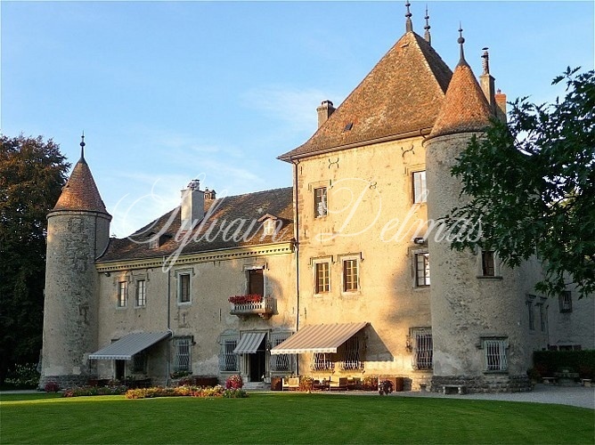 Château — EXCEPTIONNEL ET UNIQUE A VENDRE CHATEAU SUR LE LAC LEMAN