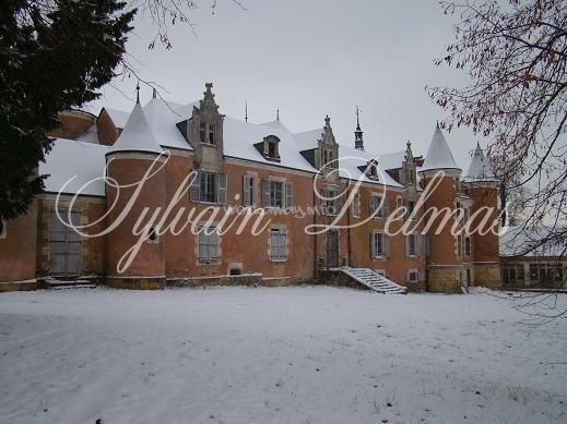 Château du XV° avec très nombreuses dépendances E.R.P. 300 personnes